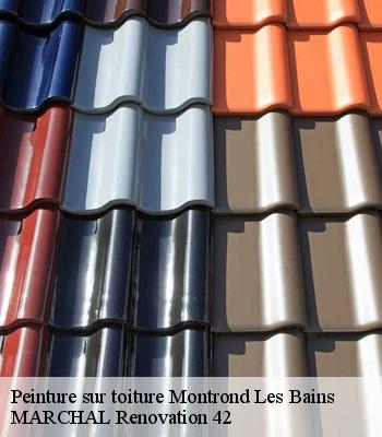 Peinture sur toiture