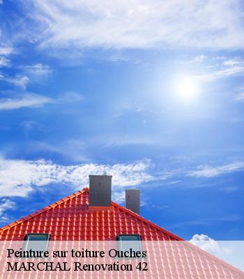 Peinture sur toiture