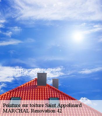 Peinture sur toiture