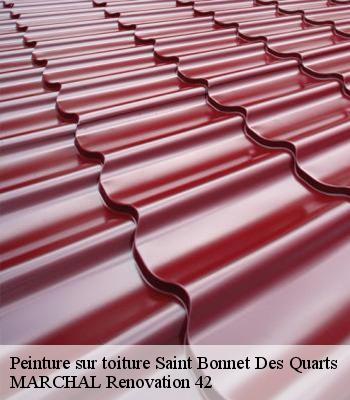 peinture-sur-toiture