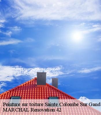 Peinture sur toiture