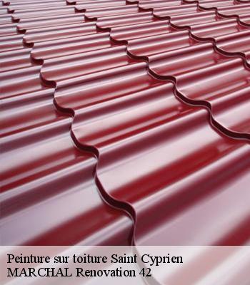 peinture-sur-toiture