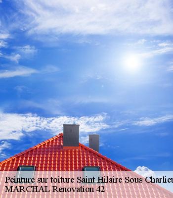 Peinture sur toiture