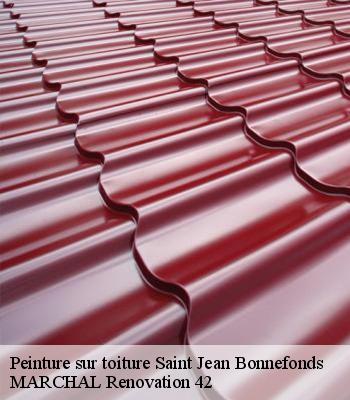 peinture-sur-toiture