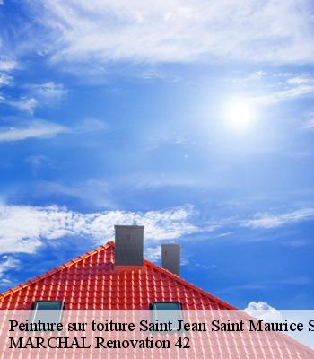 Peinture sur toiture