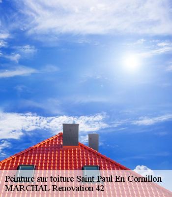 Peinture sur toiture
