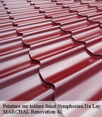 peinture-sur-toiture