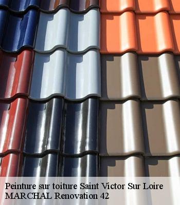 Peinture sur toiture