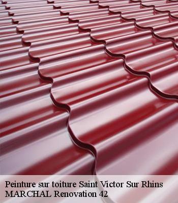 peinture-sur-toiture