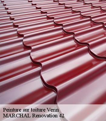 peinture-sur-toiture