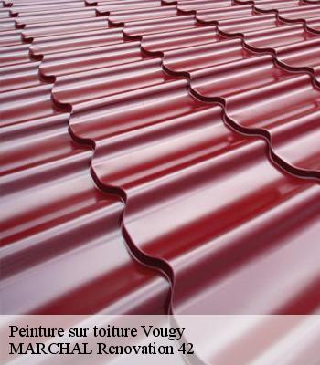 peinture-sur-toiture