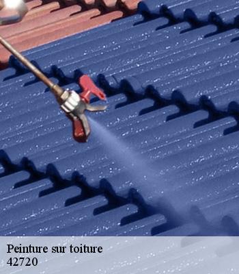Peinture sur toiture
