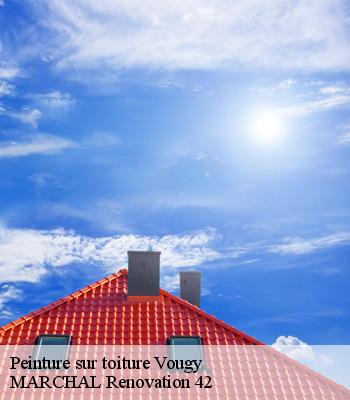 Peinture sur toiture