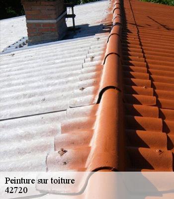Peinture sur toiture