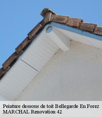 Peinture dessous de toit