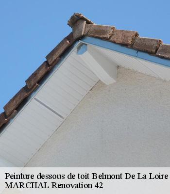 Peinture dessous de toit