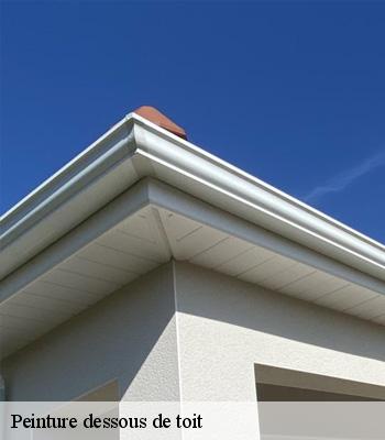 Peinture dessous de toit