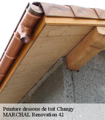 Peinture dessous de toit