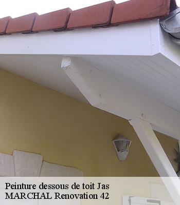 peinture-dessous-de-toit