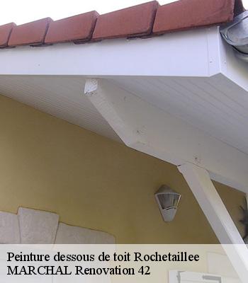 peinture-dessous-de-toit