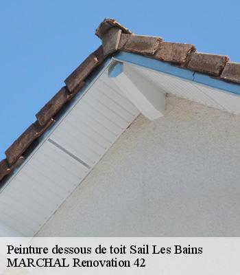 Peinture dessous de toit