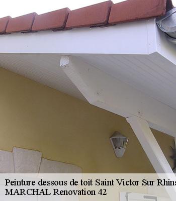 peinture-dessous-de-toit