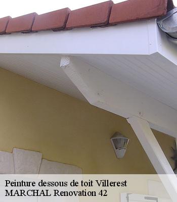 peinture-dessous-de-toit