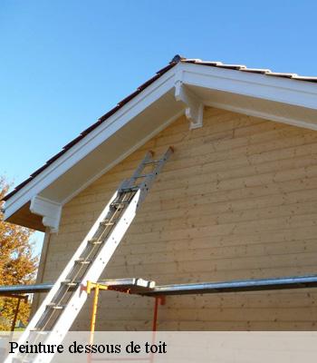 Peinture dessous de toit