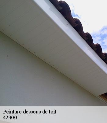 Peinture dessous de toit