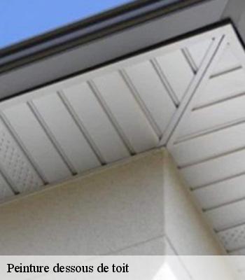 Peinture dessous de toit