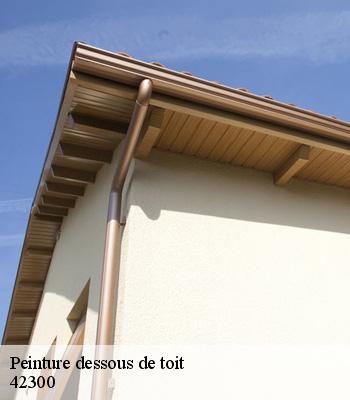 Peinture dessous de toit