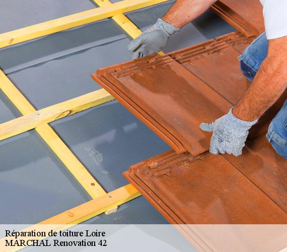 reparation-de-toiture