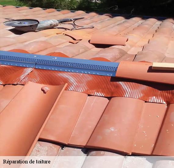 Réparation de toiture