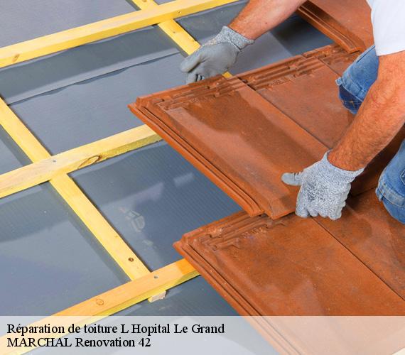 reparation-de-toiture