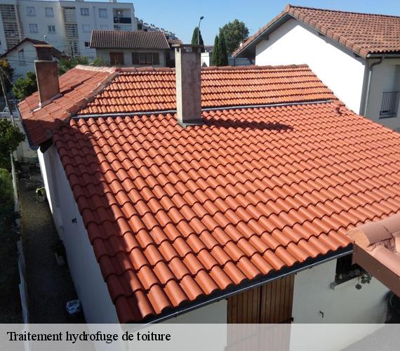 Traitement hydrofuge de toiture