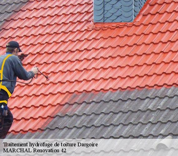 Traitement hydrofuge de toiture