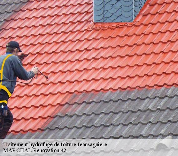 Traitement hydrofuge de toiture