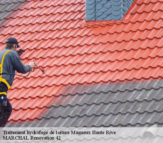 Traitement hydrofuge de toiture