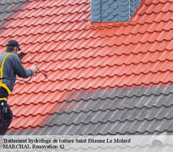 Traitement hydrofuge de toiture