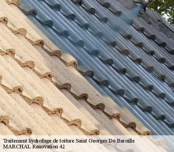 traitement-hydrofuge-de-toiture