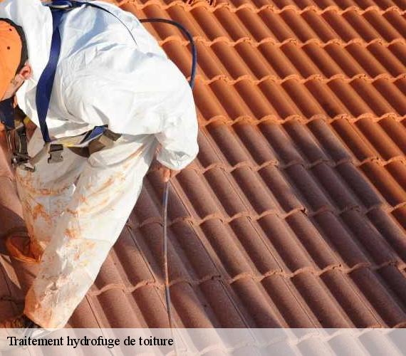 Traitement hydrofuge de toiture