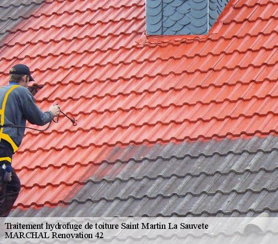 Traitement hydrofuge de toiture