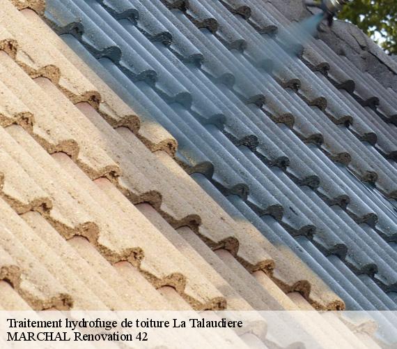 traitement-hydrofuge-de-toiture