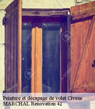 Peinture et décapage de volet