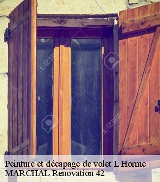 Peinture et décapage de volet