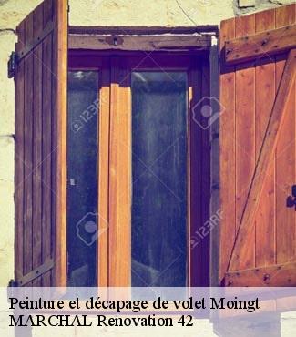 Peinture et décapage de volet