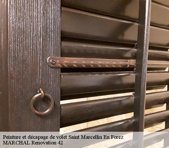 peinture-et-decapage-de-volet