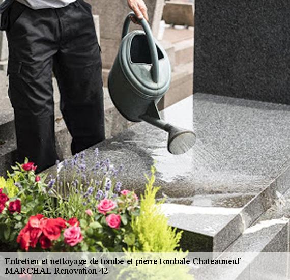 Entretien et nettoyage de tombe et pierre tombale