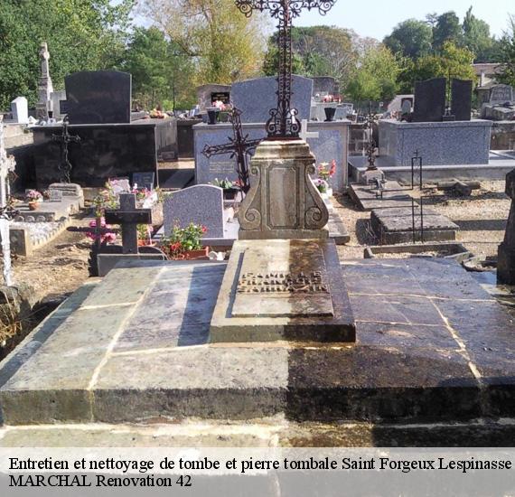 Entretien et nettoyage de tombe et pierre tombale